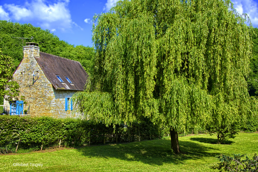 Saint Amand De Coly